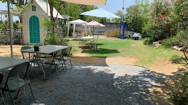 Peter Rabbit English Tea Time