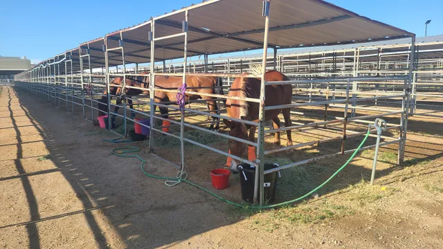 McGee Park San Juan County Fairgrounds
