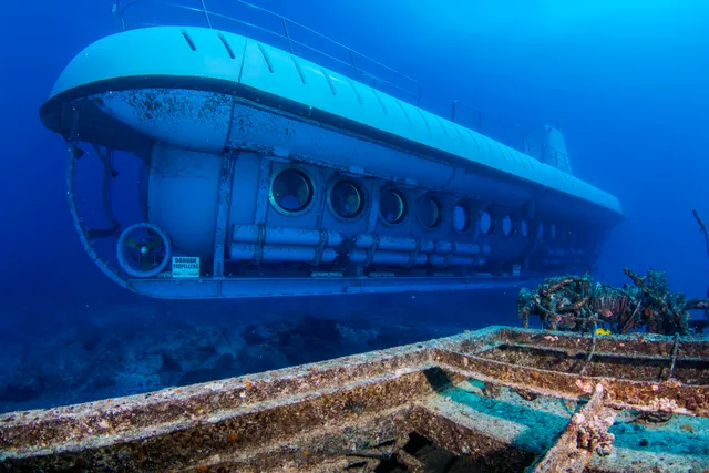 Atlantis Adventures Oahu - Warehouse