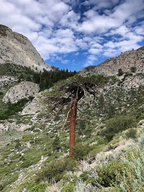 Big Pine Creek Overnight Parking