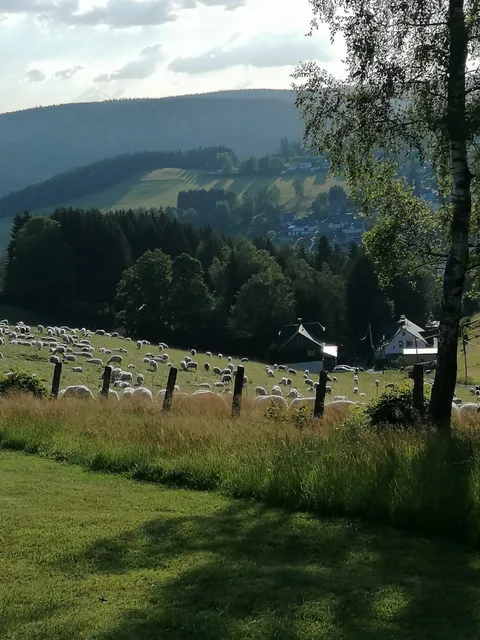 Ferienhaus & Ferienwohnung Riedl