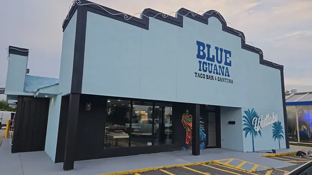 Blue iguana westlake la