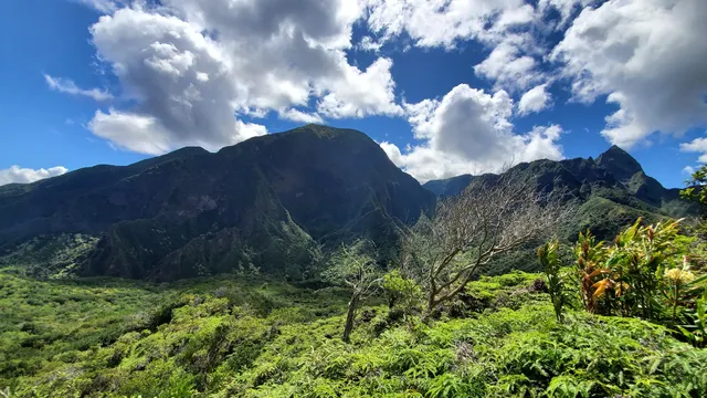 Top of Secret Trail - Iao Valley