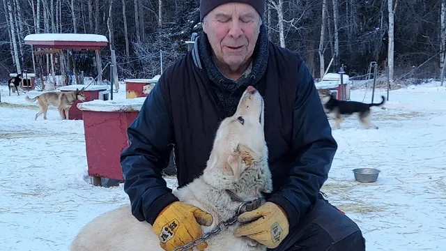 Cotter's Sled Dog Rides And Tour Office