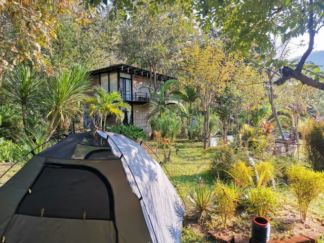 ดาวดอยลีซู