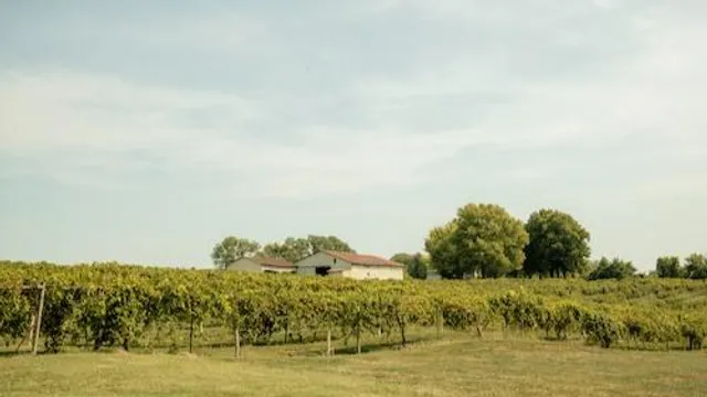 The Tasting Room on The Blufftop at Rocheport