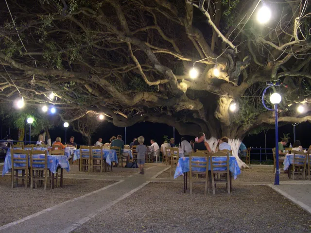 Camping Kato Alissos