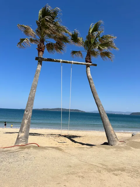 Palm Tree Swing