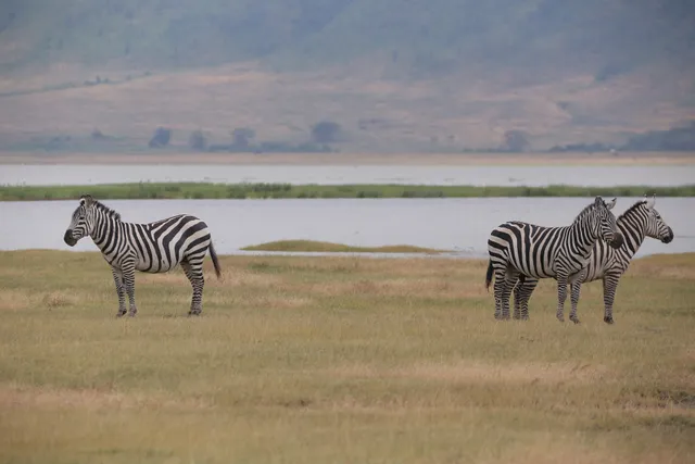 Furahia Tanzania Safari & Trekking