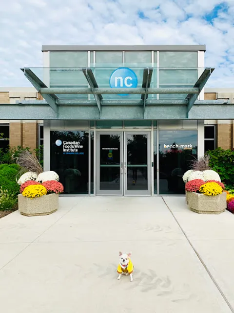 Benchmark Restaurant