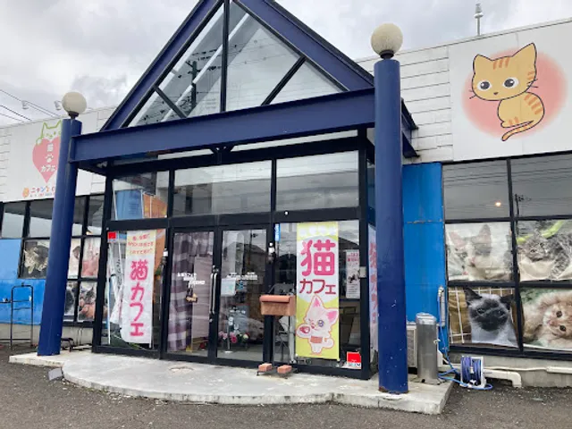 ニャンズカンパニー