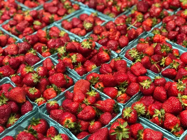 Buena Vista Township