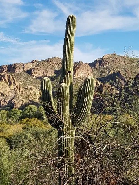 Saguaro Lake Guest Ranch