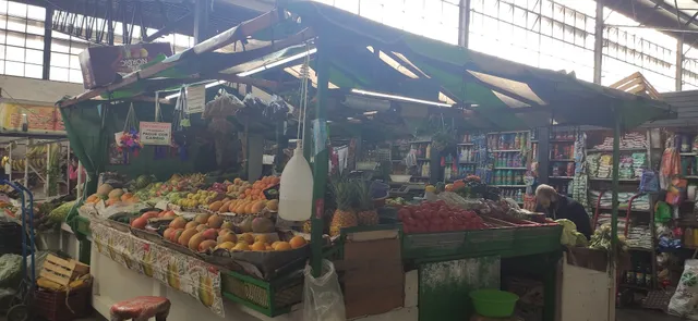 MERCADO MUNICIPAL FCO JAVIER MINA LA CONCHA