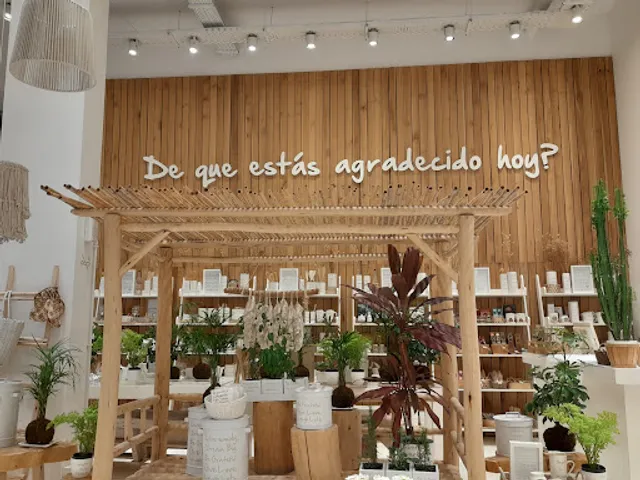 Gratitude I vivir disfrutar & Regalar