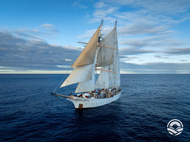 Sea Education Association (SEA)