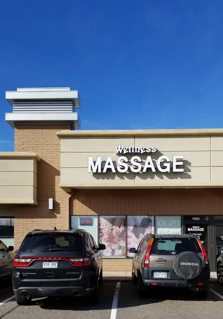 Wellness Massage