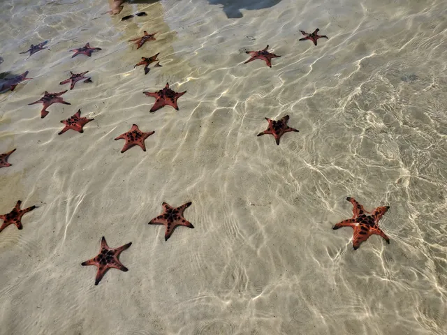 G G Nails- Ongles G G