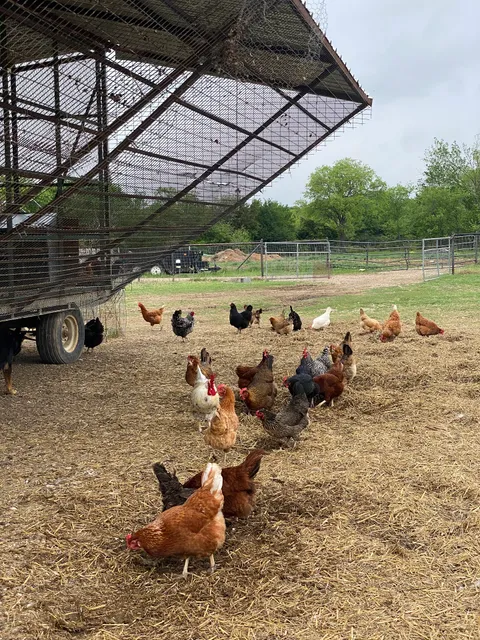 Bonton Farms Extension