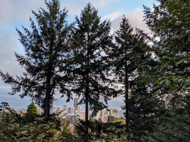 Scenic Portland View