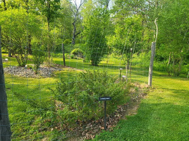 Pohatcong Native Arboretum