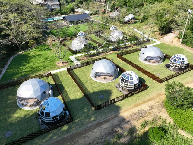 Glamhide with Dog Komatsu