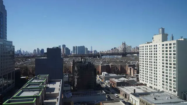 The Nedia, BW Signature Collection