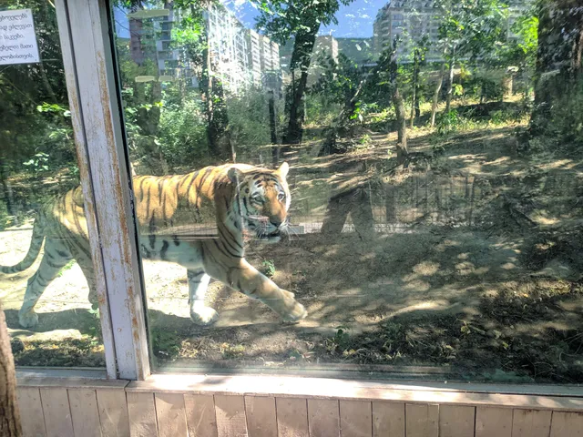 Tbilisi Zoo