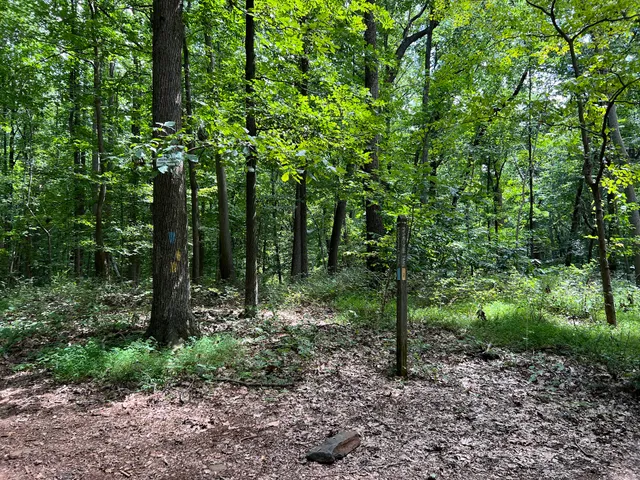 Gunpowder falls hiking