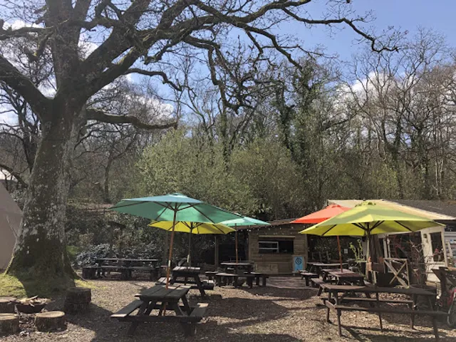 The Woodland Cafe
