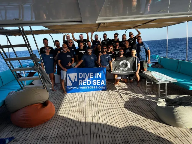 Dive in Red Sea | Liveaboards | Scuba diving courses PADI | Daily Dives