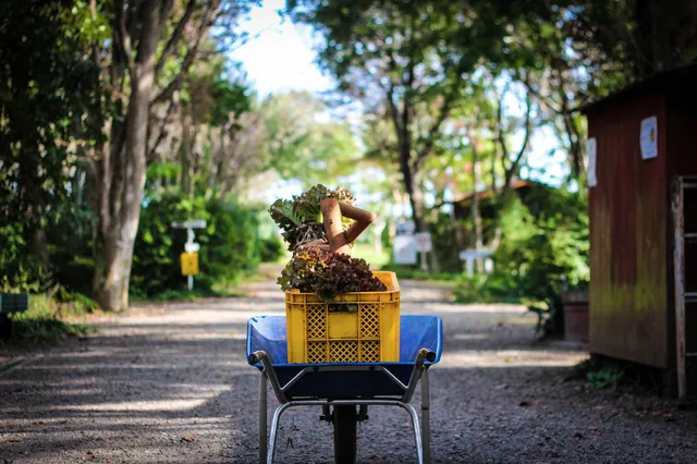 Arinomien Auto Camping Ground