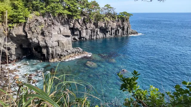 Jogasaki Nature Study Course