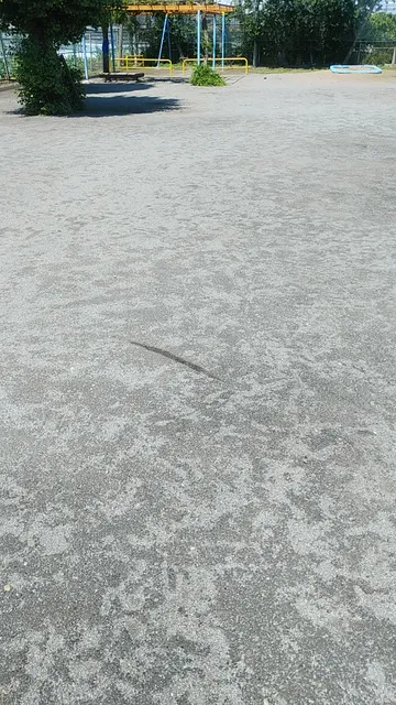 Training Ta Children's Amusement Park