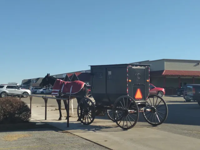 Amish Country Marketing