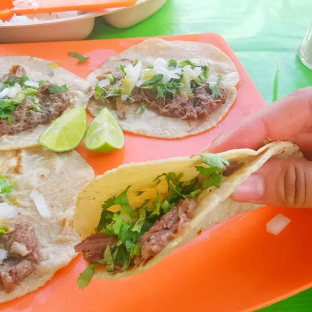 La Barbaca de Valles