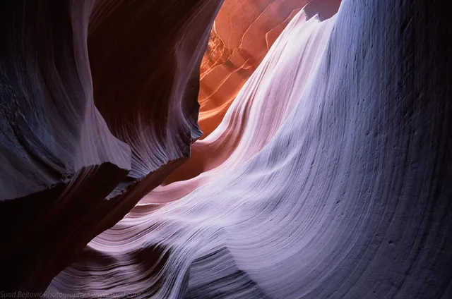 Suad Bejtovic Photography