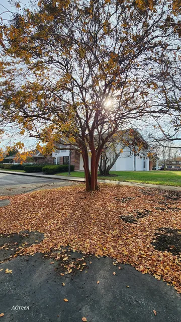 Harriet Tubman Freedom Center