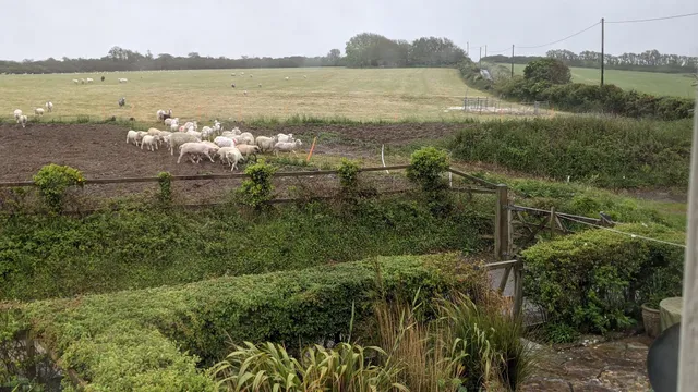 Tregella Farm Cottage