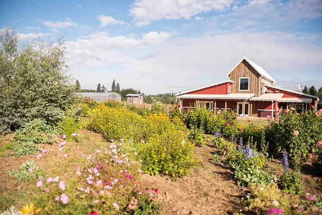 Our Table Cooperative