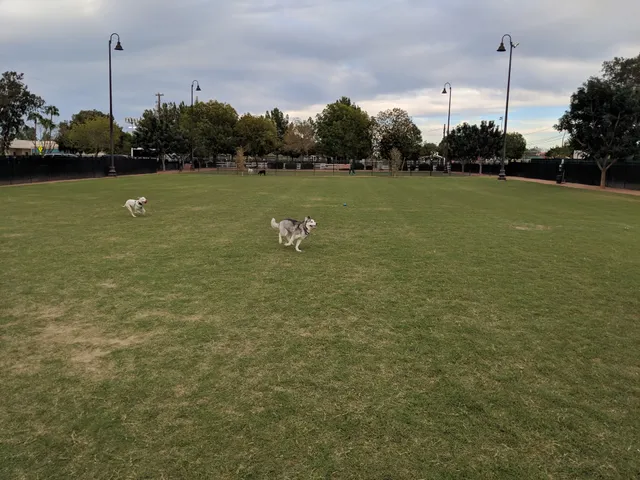 Pocket Park for Pups