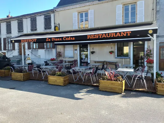 Le vieux cedre by l épicurien