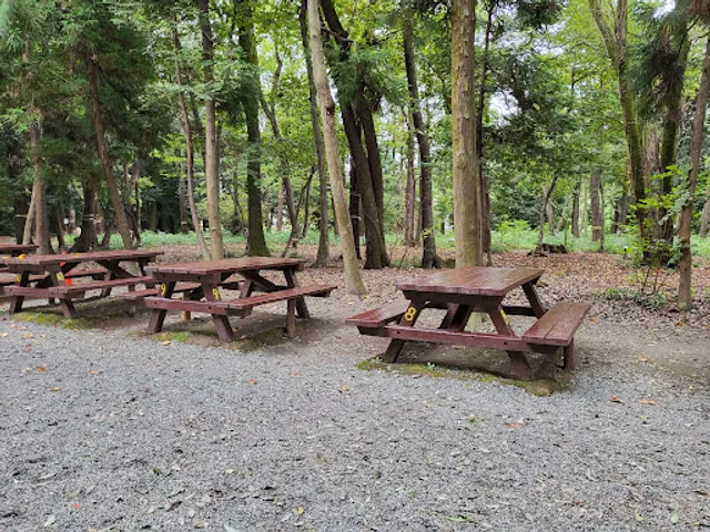 Izuminomorifureai Camping Ground