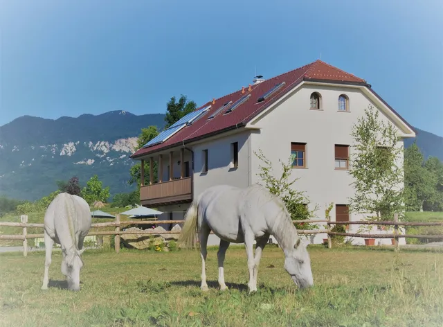 Lipizzaner Lodge