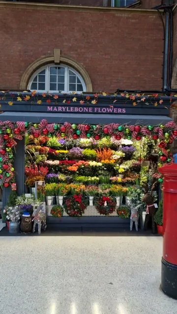 Marylebone flowers