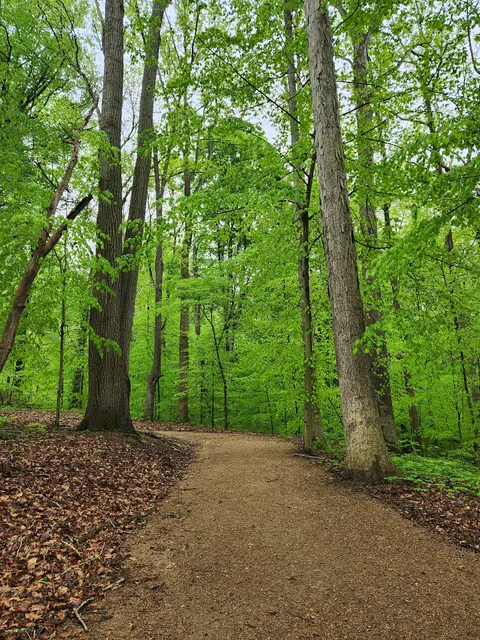 Fred and Alice Stanback Educational Forest and Nature Preserve