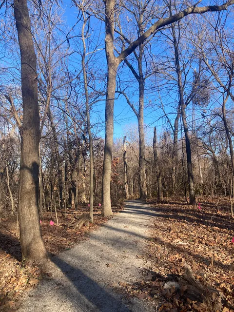 Ruth Park Nature Trail