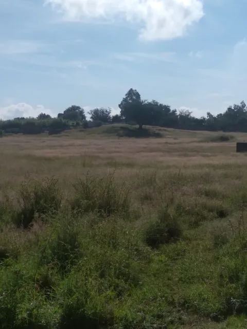 Zona Arqueológica El Grillo