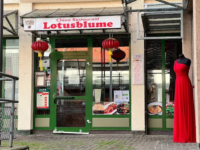 China Restaurant Lotusblume 斯图加特连花酒楼