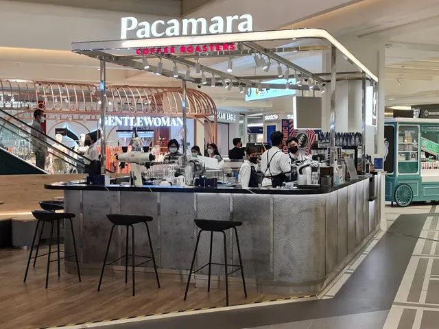Pacamara Coffee Roasters Fashion Island